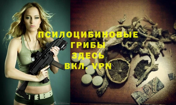дмт Верея