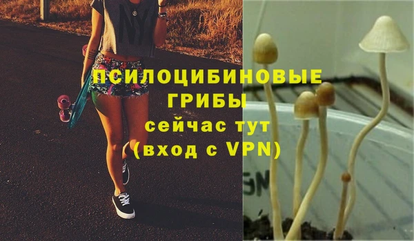 jwh Верхний Тагил