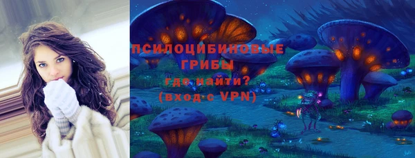 2c-b Яровое
