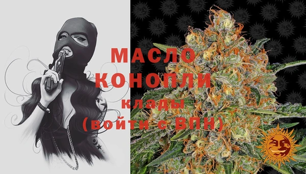 дмт Верея