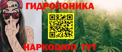 шишки Апшеронск