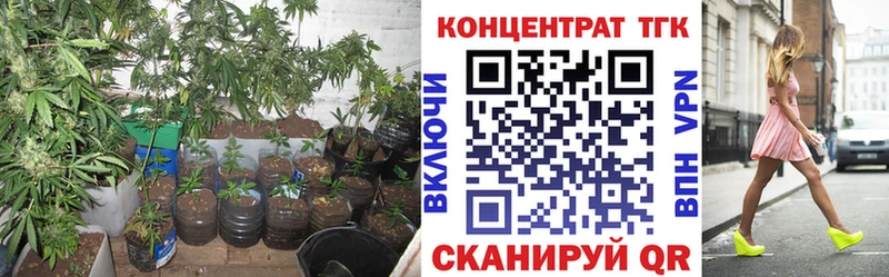 где купить наркотик  Вятские Поляны  Дистиллят ТГК концентрат 