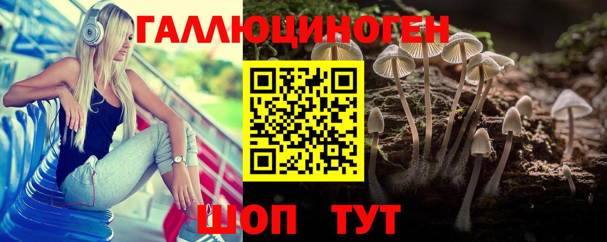 Вятские Поляны  Галлюциногенные грибы MAGIC MUSHROOMS  Вход с VPN 