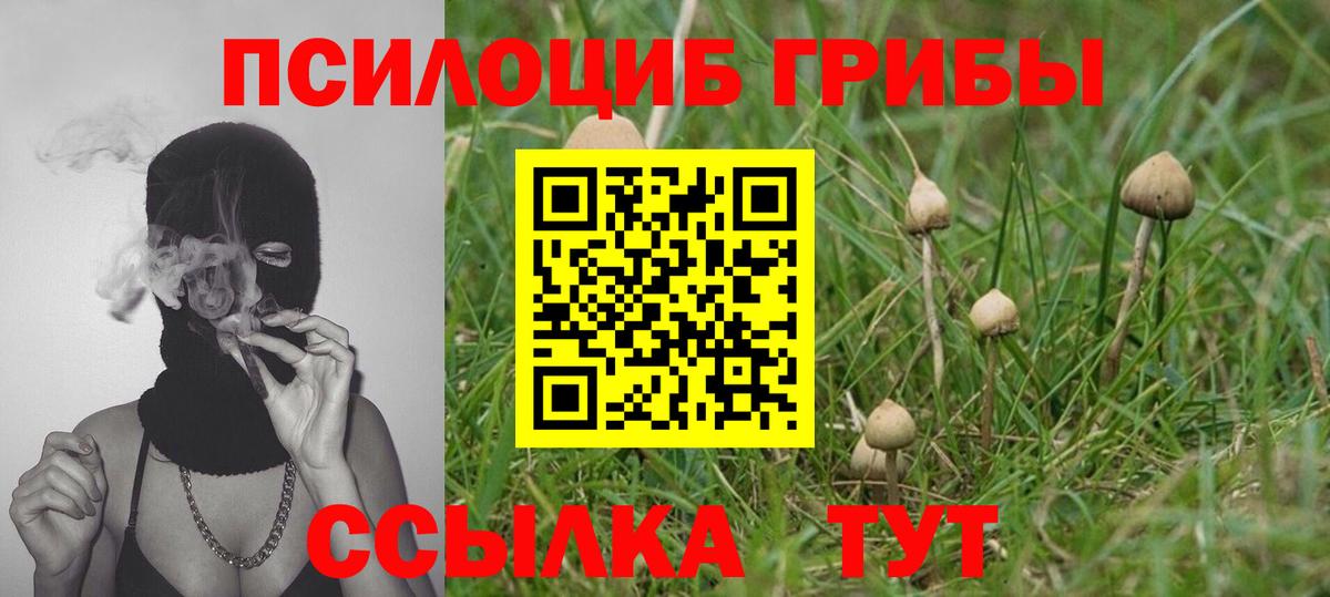 Галлюциногенные грибы Cubensis  Вятские Поляны 