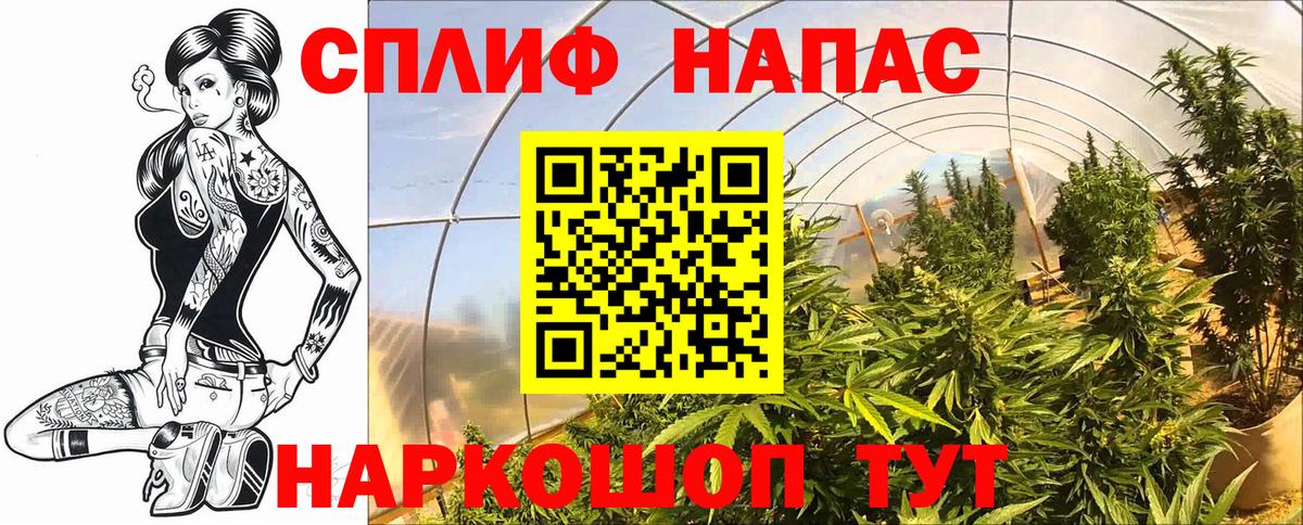 Канабис LSD WEED  Конопля индика  МАРИХУАНА семена  Вятские Поляны  Вход с VPN 